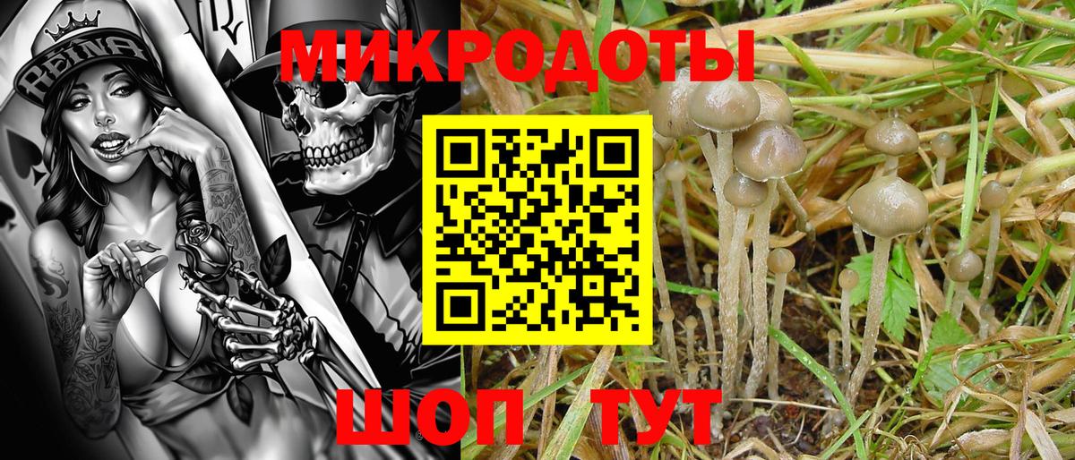 Псилоцибиновые грибы мухоморы  Вход с VPN  Кушва 