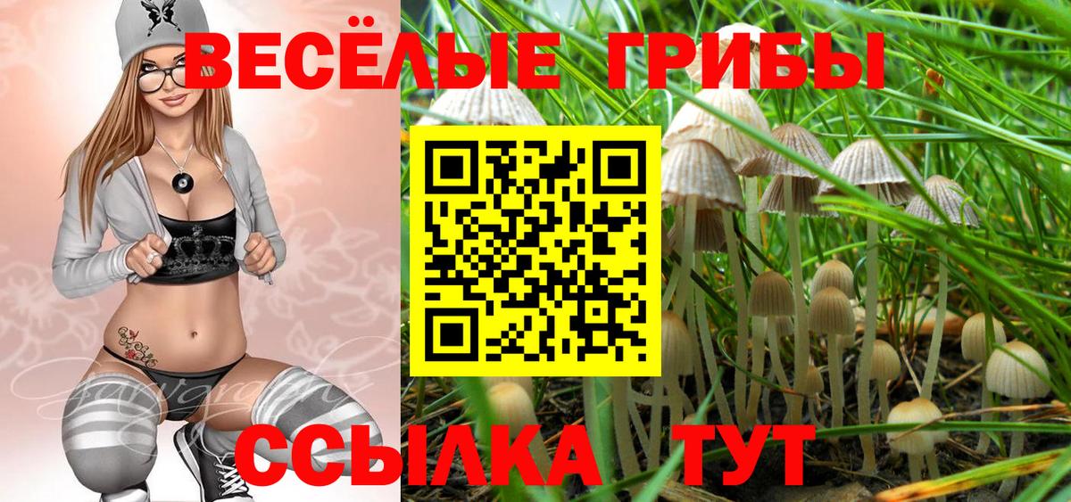 Псилоцибиновые грибы прущие грибы Кушва